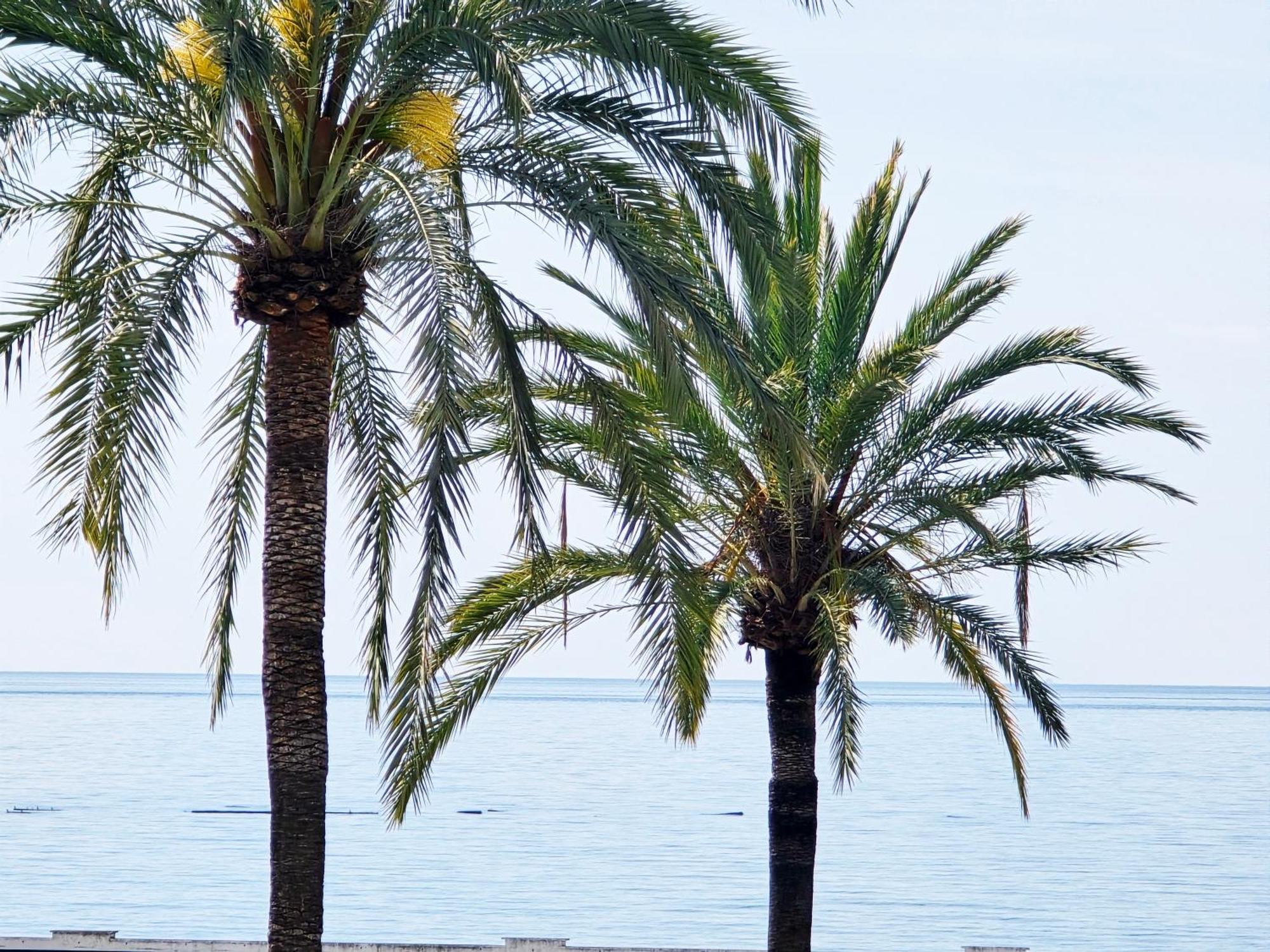Aa Guest - La Marina Sea Views Eco